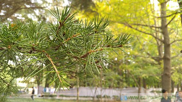 業(yè)界良心 LG V10 評測:剛毅、冷峻，不失人性化