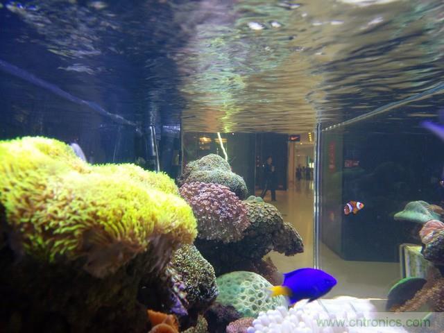 Hi-Fi革命！vivo X6 Plus深度評(píng)測(cè)：夠快才暢快