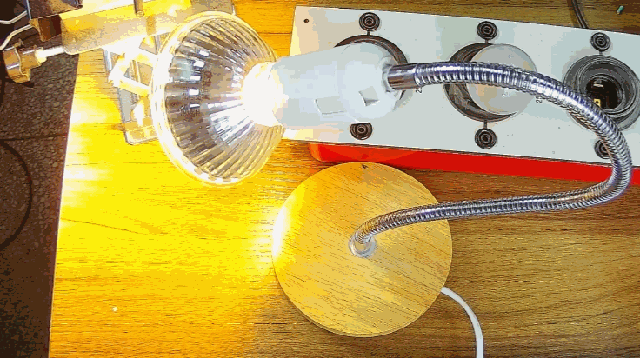 電燈泡內(nèi)通有交流電，為什么看不到燈泡在閃爍？