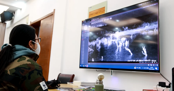 世界濕地日：海康威視攜手一個地球自然基金會，在上海守護(hù)這個重要“驛站”